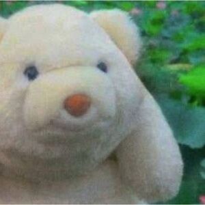 Meet your Posher, Ariel